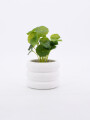 MACETA CERAMICA CON PLANTA BLANCO