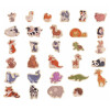 Animales Magnéticos 30 piezas Hape Animales Magnéticos 30 piezas Hape