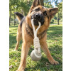 Juguete Para Perro De Cuerda Con Pelota - Okidoki Juguete Para Perro De Cuerda Con Pelota - Okidoki