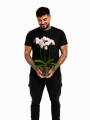 ORQUÍDEA MINI CON MACETA TRANSPARENTE