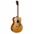 Guitarra folk Bromo BAN2V natural c /funda semi rigida Guitarra folk Bromo BAN2V natural c /funda semi rigida