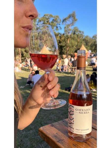 Pinot Rosé Cofradia de la Sierra Pinot Rosé Cofradia de la Sierra