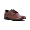 Zapato Starsax Hombre Acordonado Marrón Marron