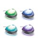 INTEX LUZ LED MONTAJE MAGNETICO DE PARED PARA PISCINA 5 COLORES 220-240V Intex Luz Led Montaje Magnetico De Pared Para Piscina 5 Colores 220-240v