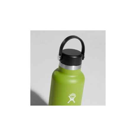 Botella 21 Oz (621ml) Standard Flex Hydro Flask Seagrass