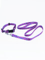 SET COLLAR Y CORREA ANIMAL PRINT ESTAMPADO 1