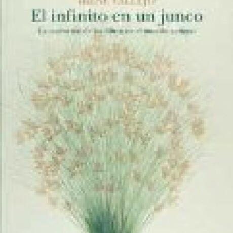 EL INFINITO EN UN JUNCO EL INFINITO EN UN JUNCO