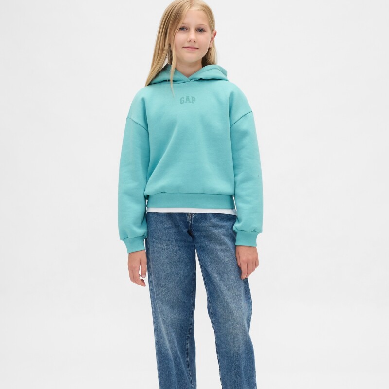 VTG SOFT LOGO PO_FA25 FROSTBITTEN BLUE