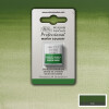 Acuarela profesiona Half Pan - Winsor & Newton Tonos Verdes