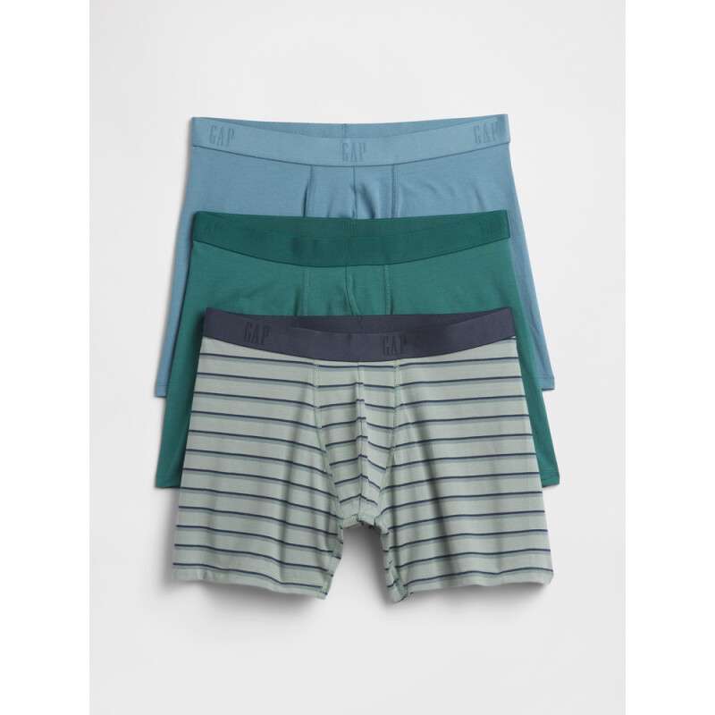 V-3 PACK BOXER BRIEFS - SSNL BALSAM