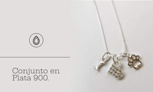 Producto 4