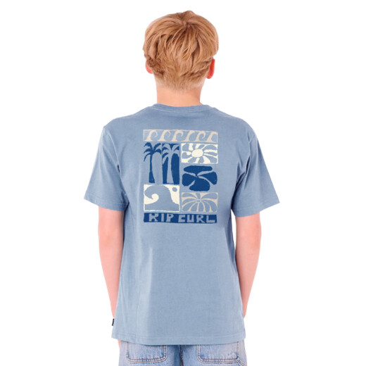 Remera Rip Curl Aots Ty Coast Tee -Boy Remera Rip Curl Aots Ty Coast Tee -Boy
