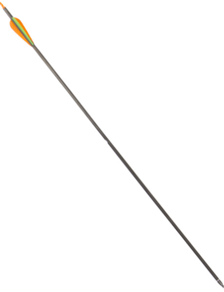Flecha de Carbono Arye Flecha de Carbono Arye