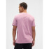 V-EVERYDAY SOFT CREW - SOLID WISPY MAUVE 902
