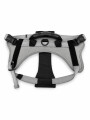 ARNES PARA PERROS GRIS
