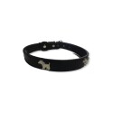 Collar Cinta para Perro con Diseño Dog 3x58cm Collar Cinta para Perro con Diseño Dog 3x58cm