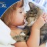 CAT CHOW GATOS ADULTOS POLLO Y PESCADO 15 KG