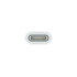 APPLE USB-C A APPLE PENCIL ADAPTER WHITE APPLE USB-C A APPLE PENCIL ADAPTER WHITE