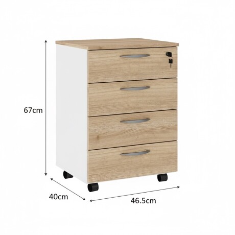 ARMARIO CORPORATIVO ORGANIZADOR 4 CAJONES CON LLAVE ARMARIO CORPORATIVO ORGANIZADOR 4 CAJONES CON LLAVE