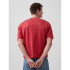 INTL HVY CROP LOGO T CHAKRA RED
