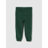 V-FRCH DISLOGO X GAP FAM JGR EVERGREEN GLAMOUR
