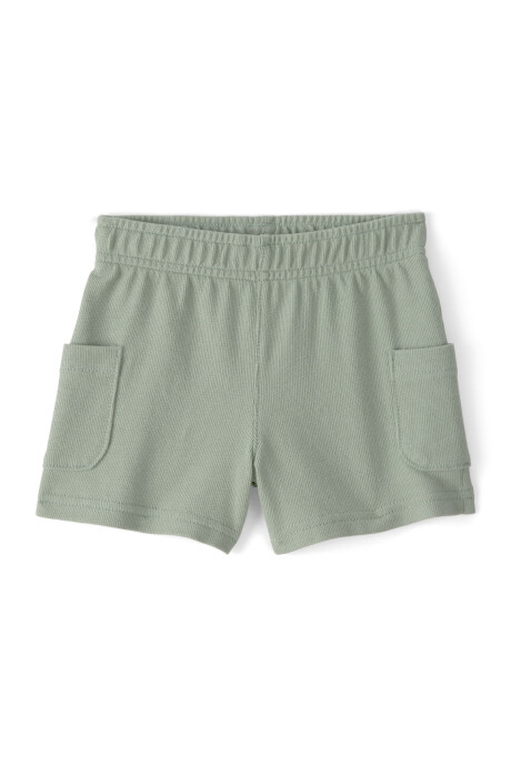 Set dos piezas de algodón, short y remera, verde, iguana bordada. Talles 2-5T Sin color