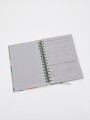 AGENDA 2027 BEIGE