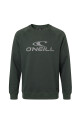 Buzo O'Neill Daily Wave Crewneck Verde