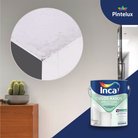 INCA CIELOS RASOS DIRECTO SOBRE HONGOS - 4 LTS. N/A