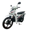Moto Loncin Visa 110 Moto Loncin Visa 110