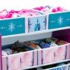 Organizador Infantil Disney C/6 compartimentos Frozen