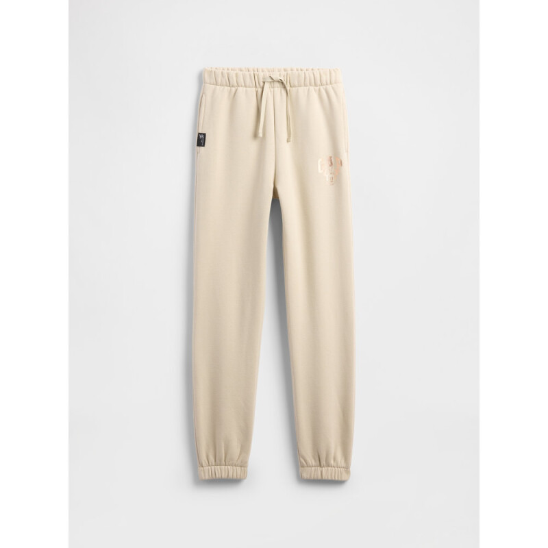 V-DISLOGO JOGGER BEDROCK V2