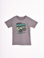 REMERA FORMULA GRIS