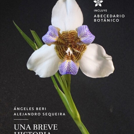 BREVE HISTORIA DE LA LARGA VIDA DE LAS PLANTAS, UNA BREVE HISTORIA DE LA LARGA VIDA DE LAS PLANTAS, UNA