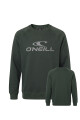 Buzo O'Neill Daily Wave Crewneck Verde