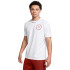 UA M RADIAL WM 60/40S SS-WHT WHT-100