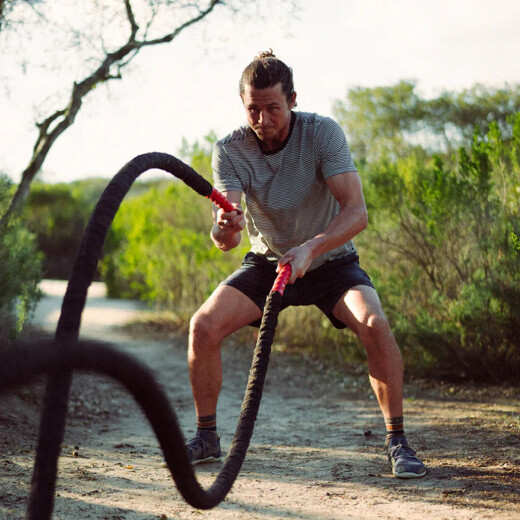 Remera Roark Borrego - Multi Remera Roark Borrego - Multi