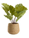 Maceta SEVERIN Ø20xH17cm natural Maceta SEVERIN Ø20xH17cm natural