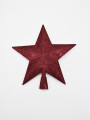 PUNTERO ESTRELLA BORDEAUX