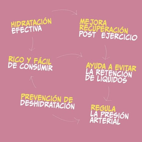 Electrolitos Sabor a Frutos del bosque JUST FIT Electrolitos Sabor a Frutos del bosque JUST FIT