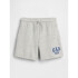 JPN IE LOGO SHORT SPR B08-002