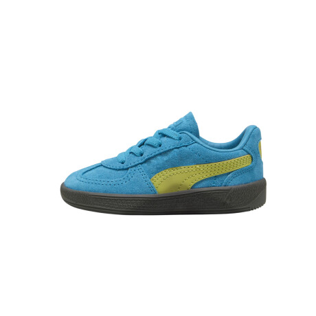 Championes Puma Palermo JR de niño Turquoise