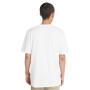 Polo US Tree Logo Short Sleeve Tee Hombre White