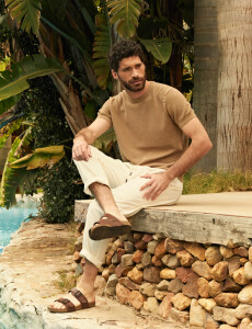 520575 T-SHIRT HARRY Camel