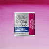 Acuarela Cotman - Winsor & Newton Tonos Violeta
