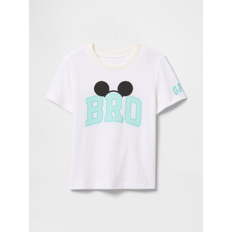 V-DIS BRO SS GR SP DIS FAM WHT TE SP25