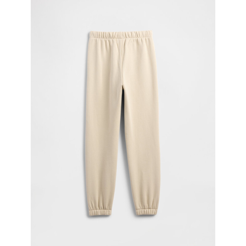 V-DISLOGO JOGGER BEDROCK V2
