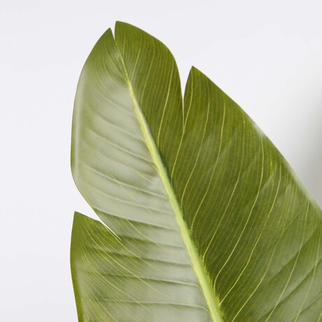 STRELITZIA ARTIFICIAL VERDE ARTIFICIAL Y8480-8-3PS