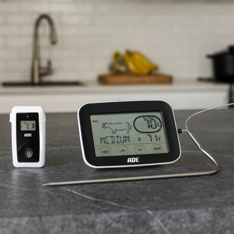 Termometro con Sonda de 50 a 300ºc Termometro con Sonda de 50 a 300ºc