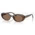 RayBan Oval Marron